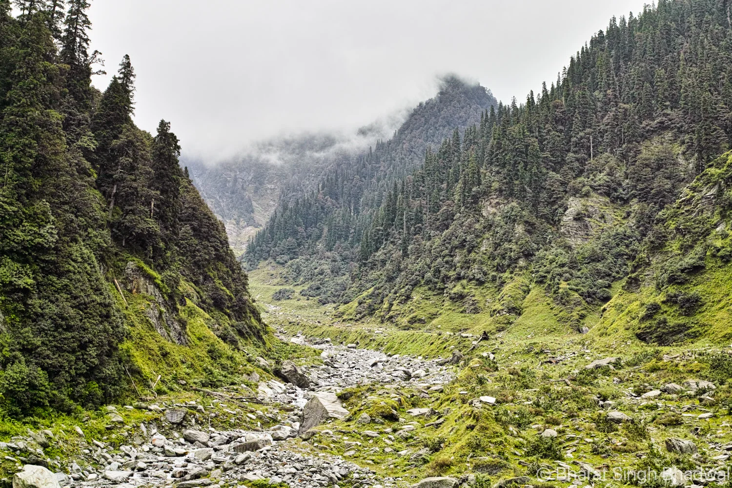 Idyllic trekking terrain. This is why we trek!