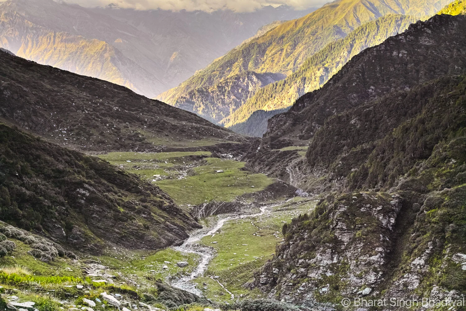 A stream flows through Jalsu Gothe a.k.a. meadow