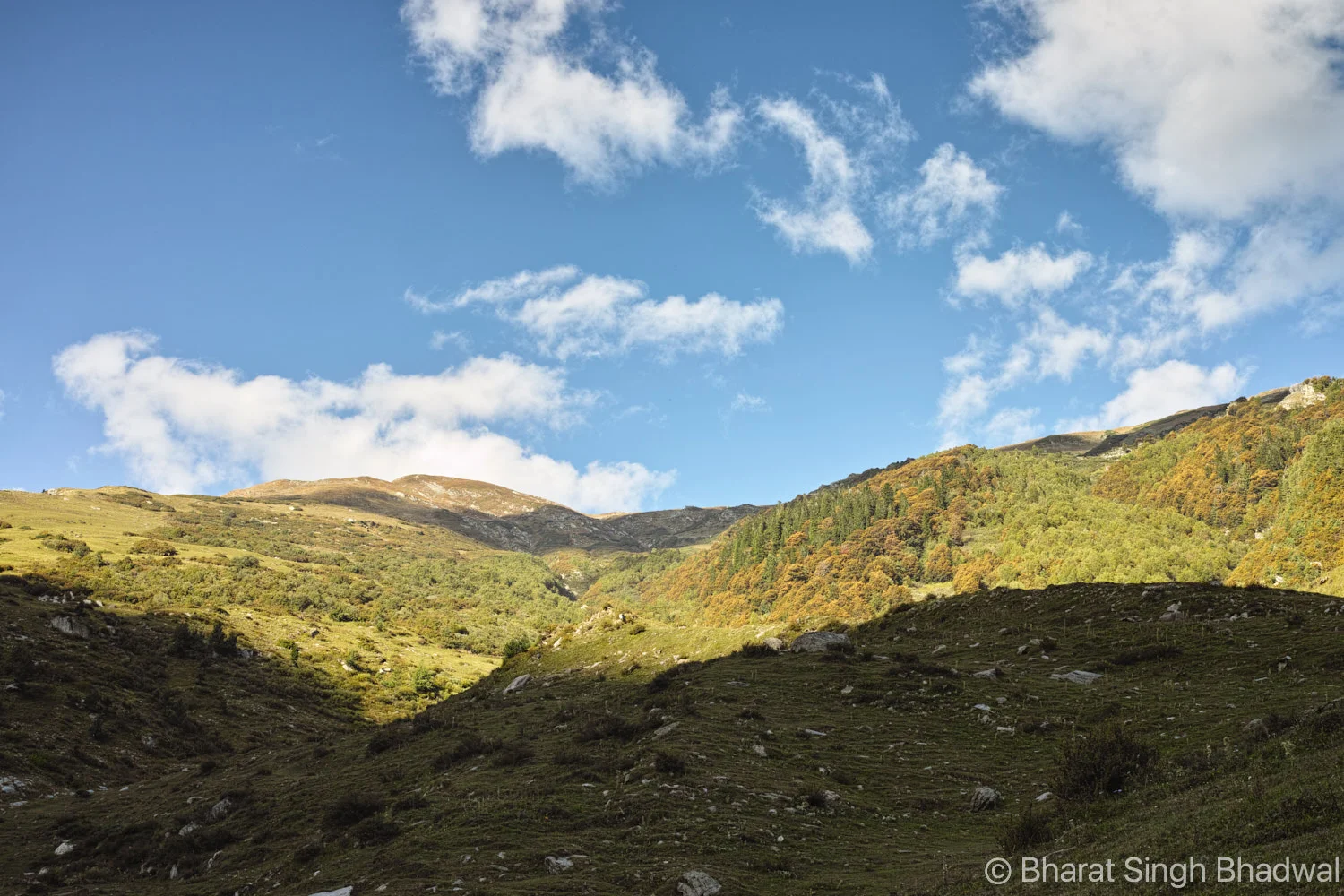 A sprawling meadow overlooking Bajoda