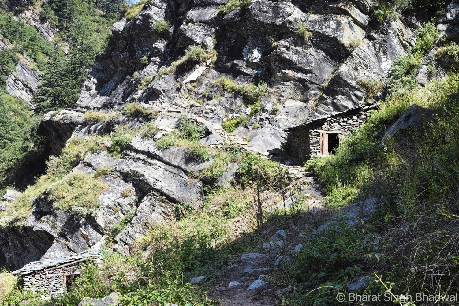 The trail from Channi to Surai village