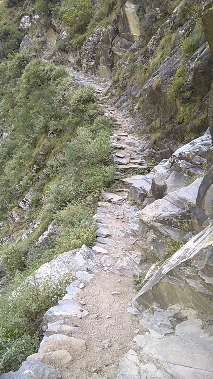 The trail from Channi to Surai village