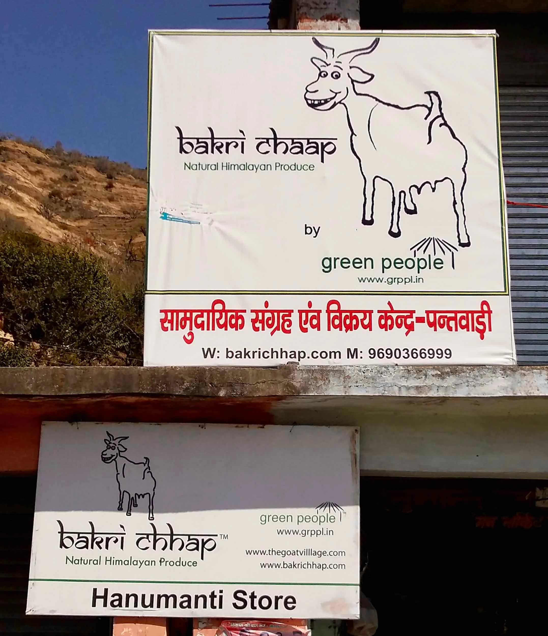The sly looking goat that is the mascot for