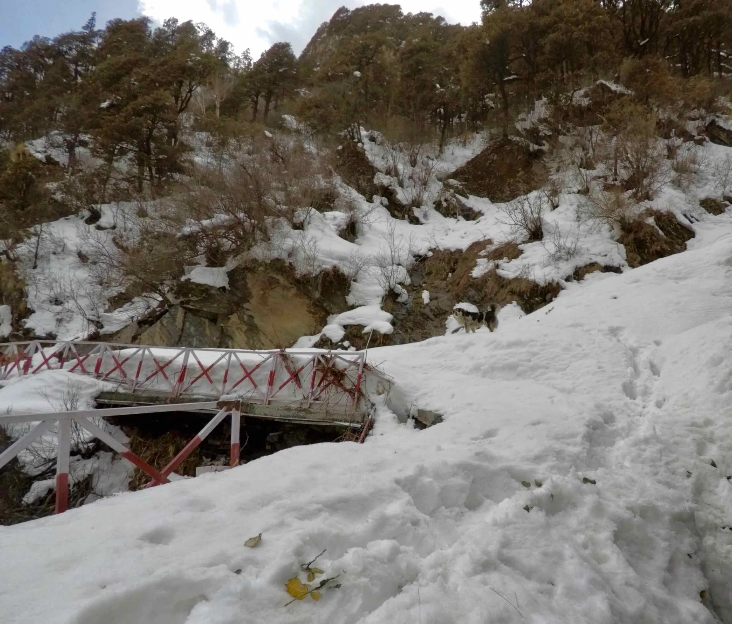 The last 500 metres to Yamunotri were a bit sketchy. The snow covered the railing which made me struggle through this stretch. I averaged just over 1kmph on this stretch.