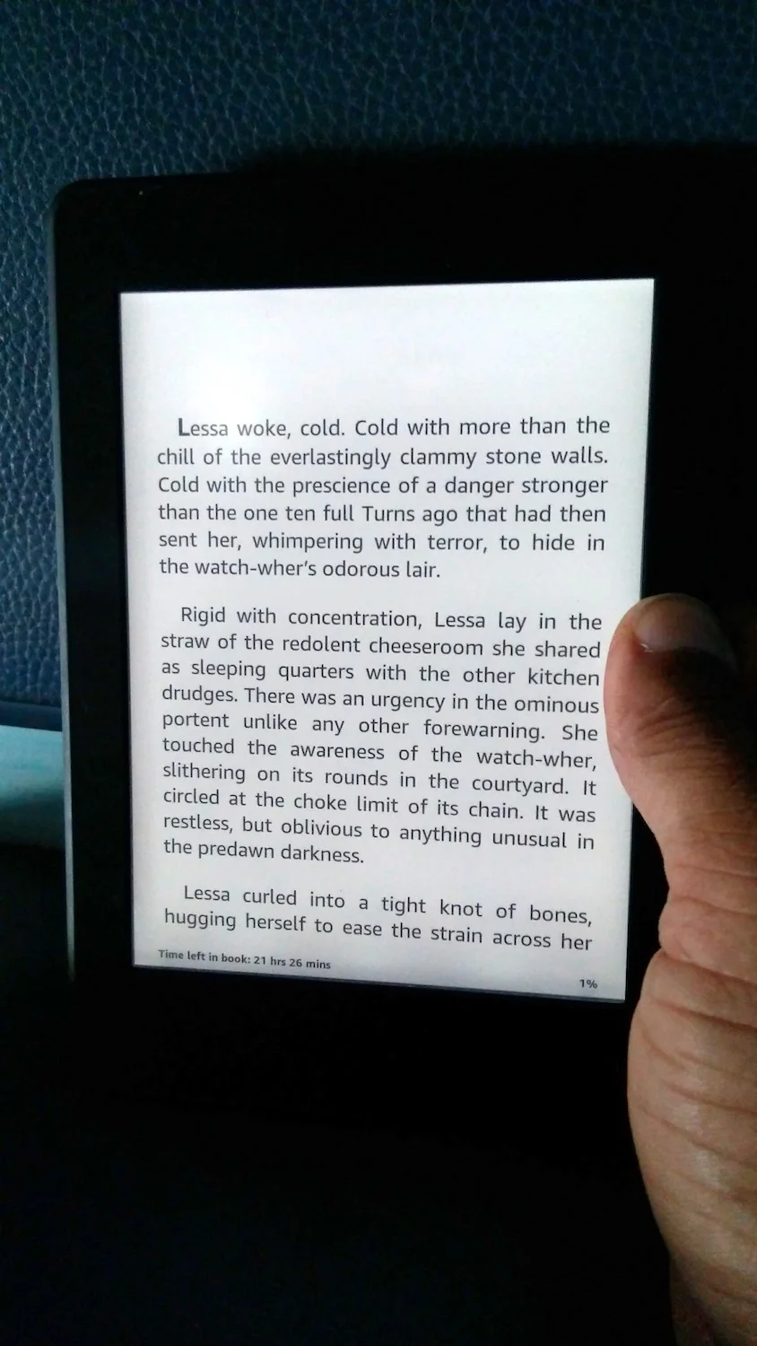The Kindle on an Indian Railways journey is the perfect "timepass". Kindle reckons this book will last me 21 hours, which is perfect for a Delhi - Mumbai train