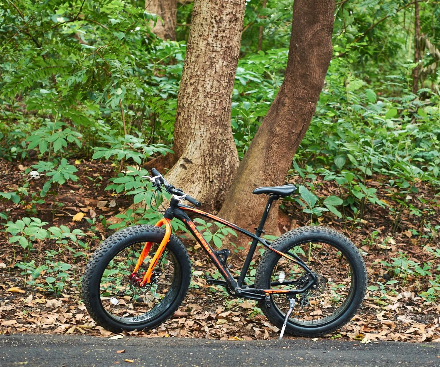 Aarey is a breath of fresh but even more humid air