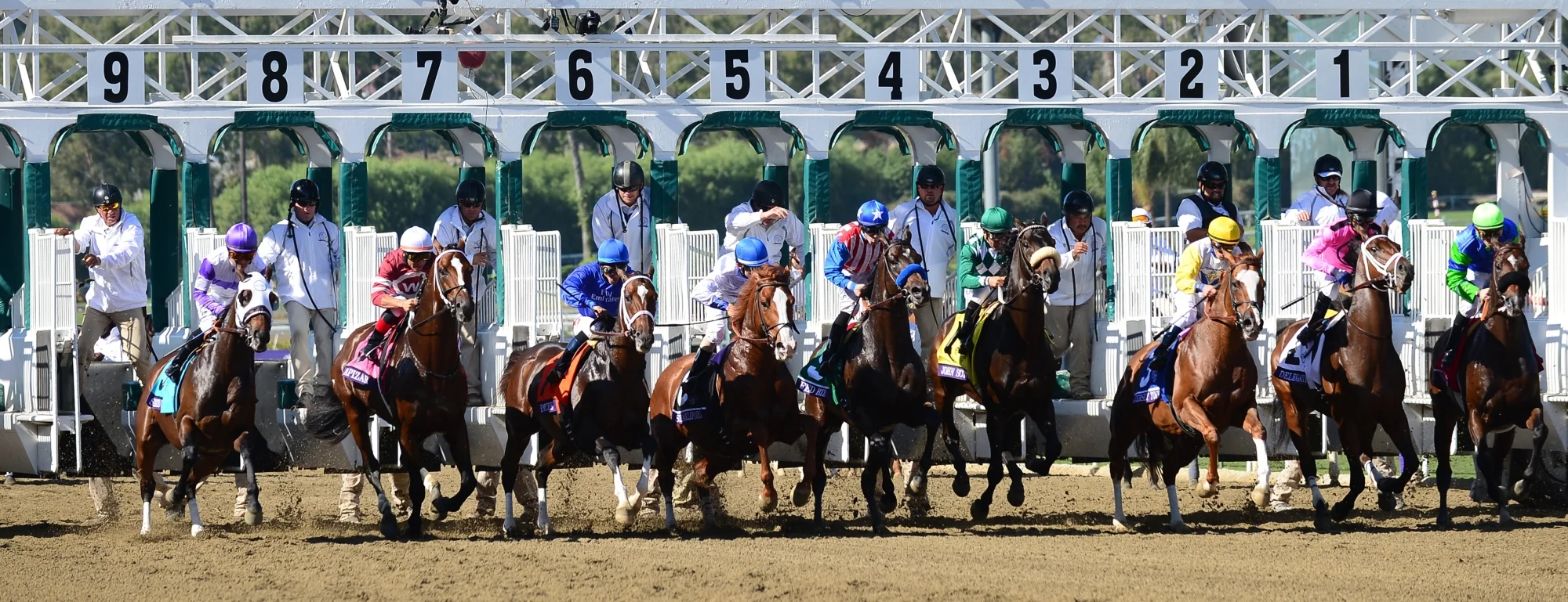 Stuart Mercer is proud to announce the Official Breeders' Cup Tie!