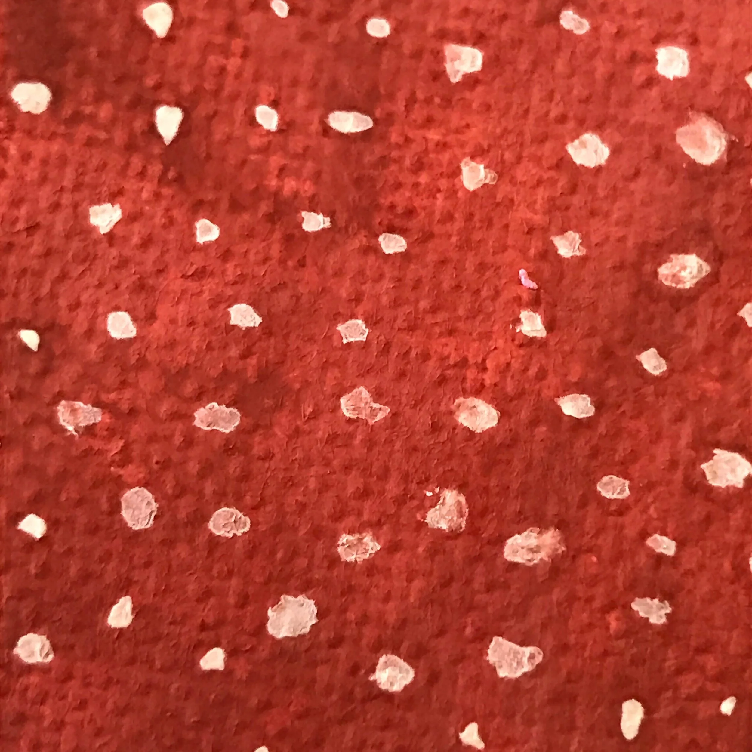 redwithdotsSmall.jpg