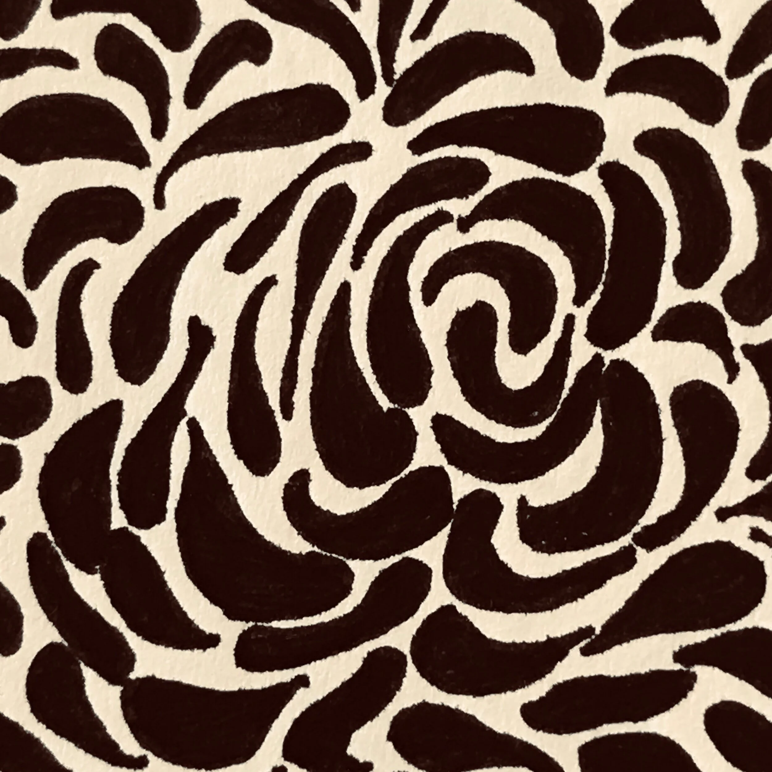 blapaisley.jpg