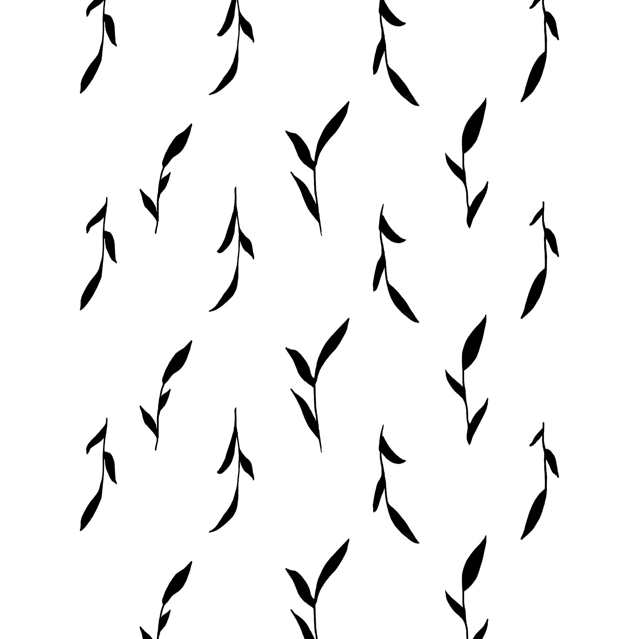 Shadow