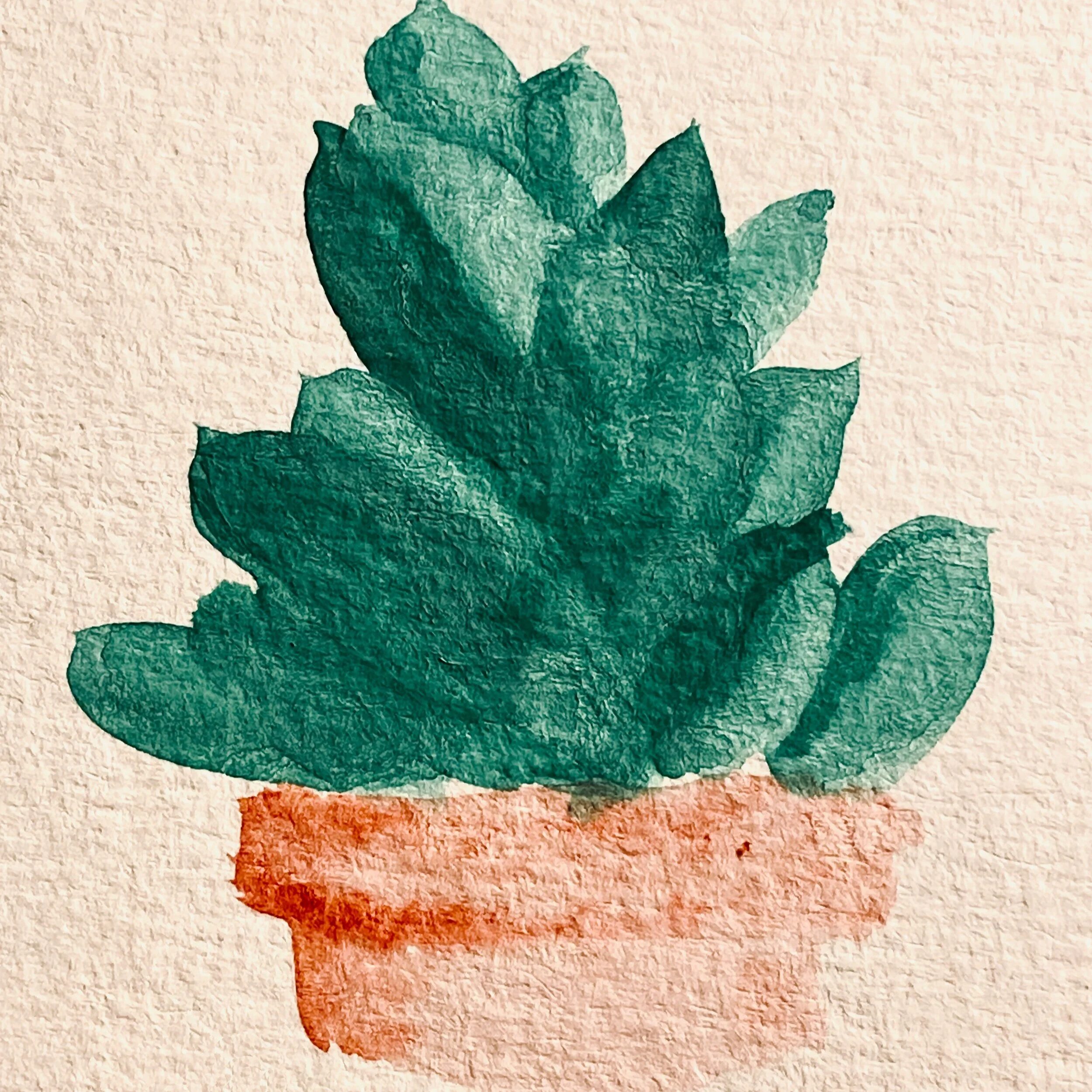 Succulent