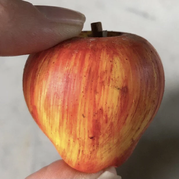 Screen Shot 2021-02-22 at 2.22.36 PM.jpeg