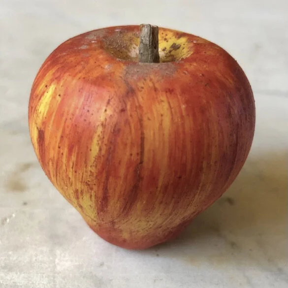 Screen Shot 2021-02-22 at 2.22.48 PM.jpeg