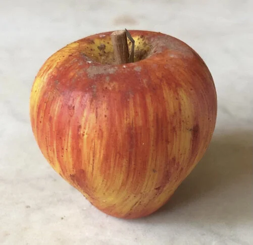 Screen Shot 2021-02-22 at 2.23.16 PM.jpeg