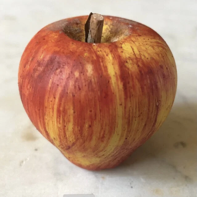 Screen Shot 2021-02-22 at 2.23.23 PM.jpeg