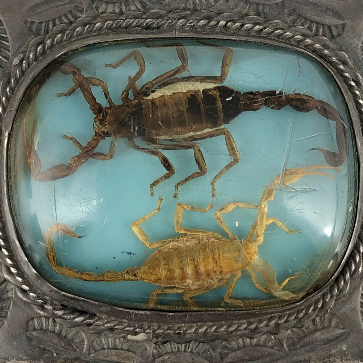 Vintage Double Scorpion Resin Sterling Buckle — Worn-Over-Time