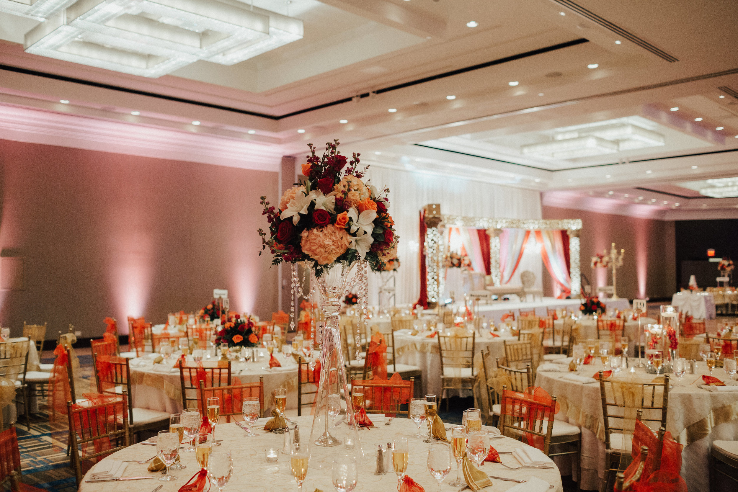 Shifa Faroukh-reception-0022.jpg