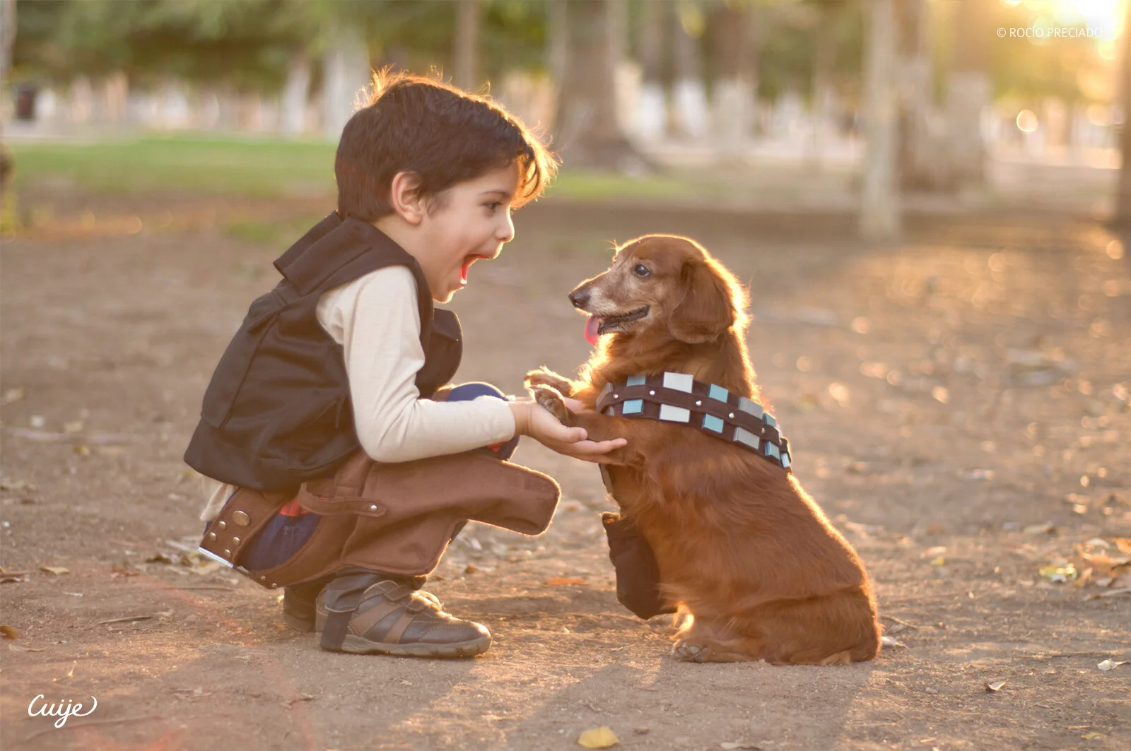 RPreciado_pets1_2021.jpg