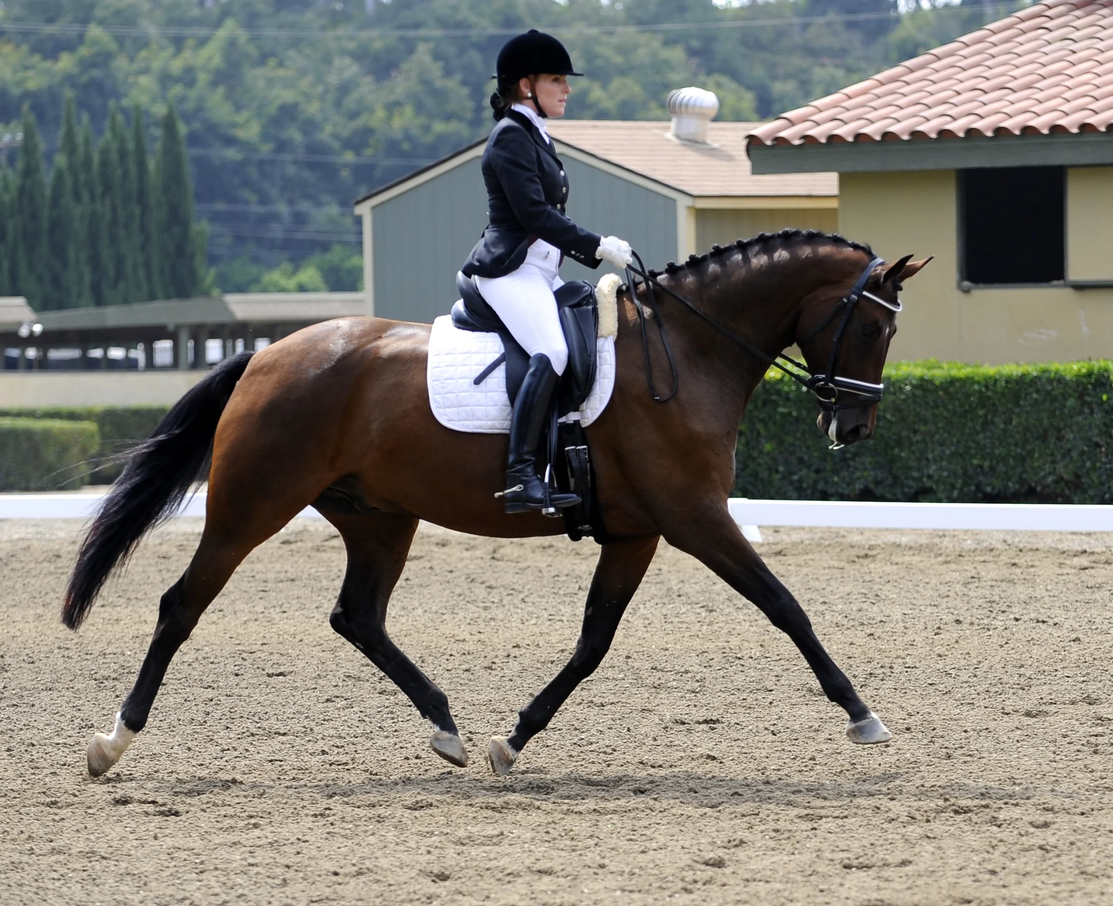 Don Vincenzo ( Vinny)