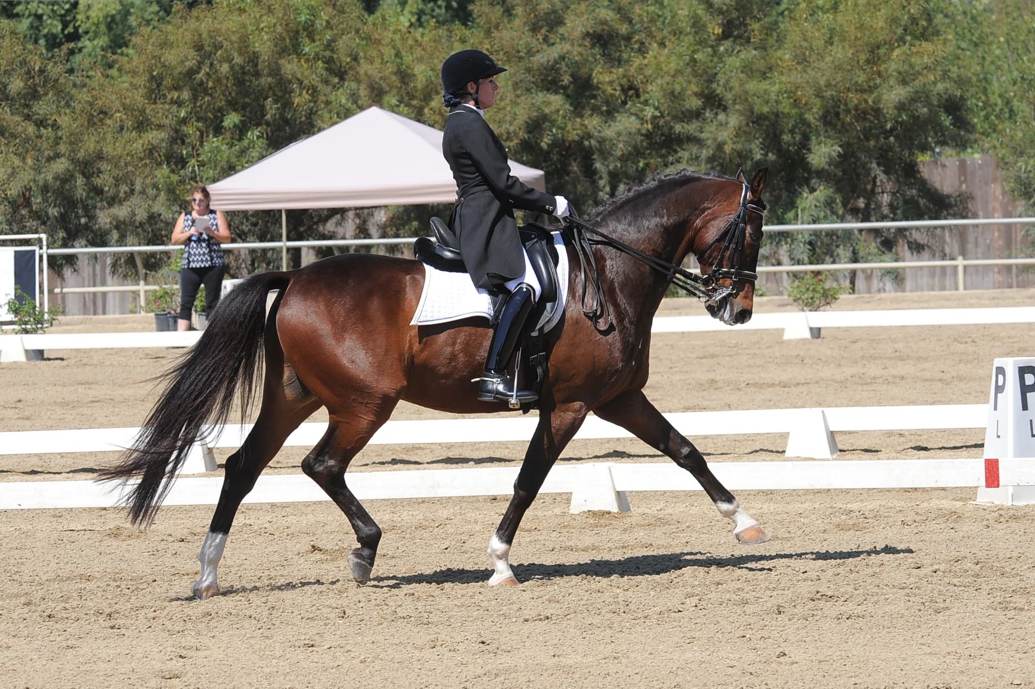 Westfalian Oberon PSG