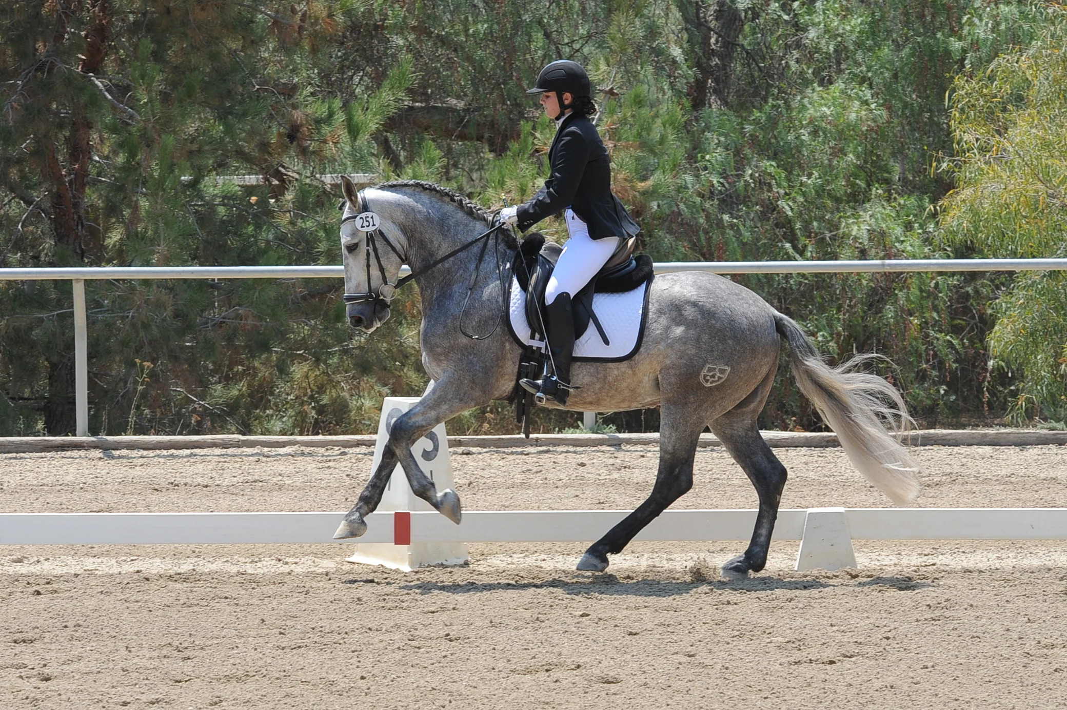 Mads and PRE Evento LA ( aka: Hoku)