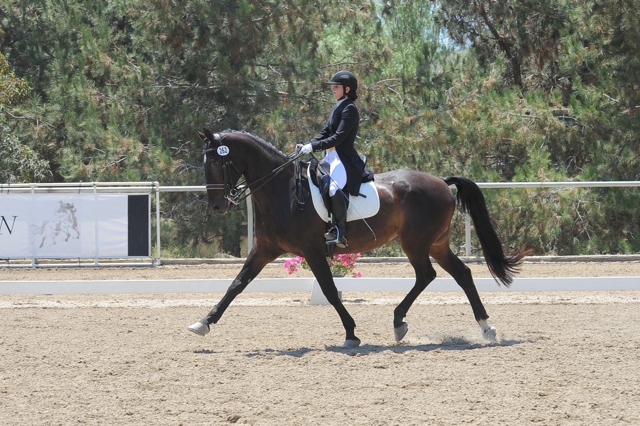 Madeleine on Westfalian Dante Inter 1