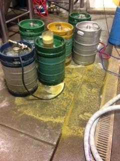 CRAZY amounts of hop residue covering the brewhouse floor, as we keg the last of this beer up.