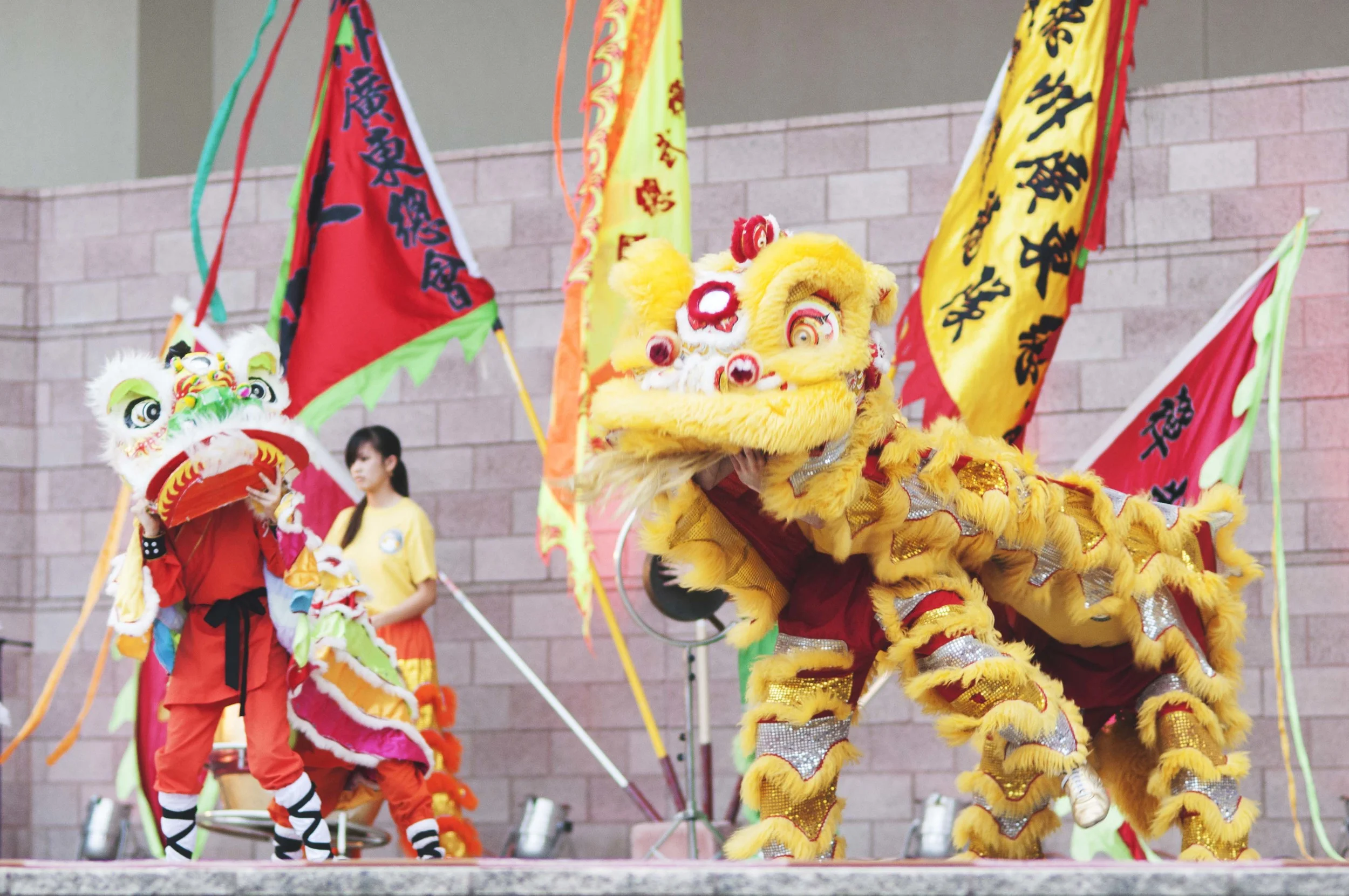 DSC_0774 copy.jpg
