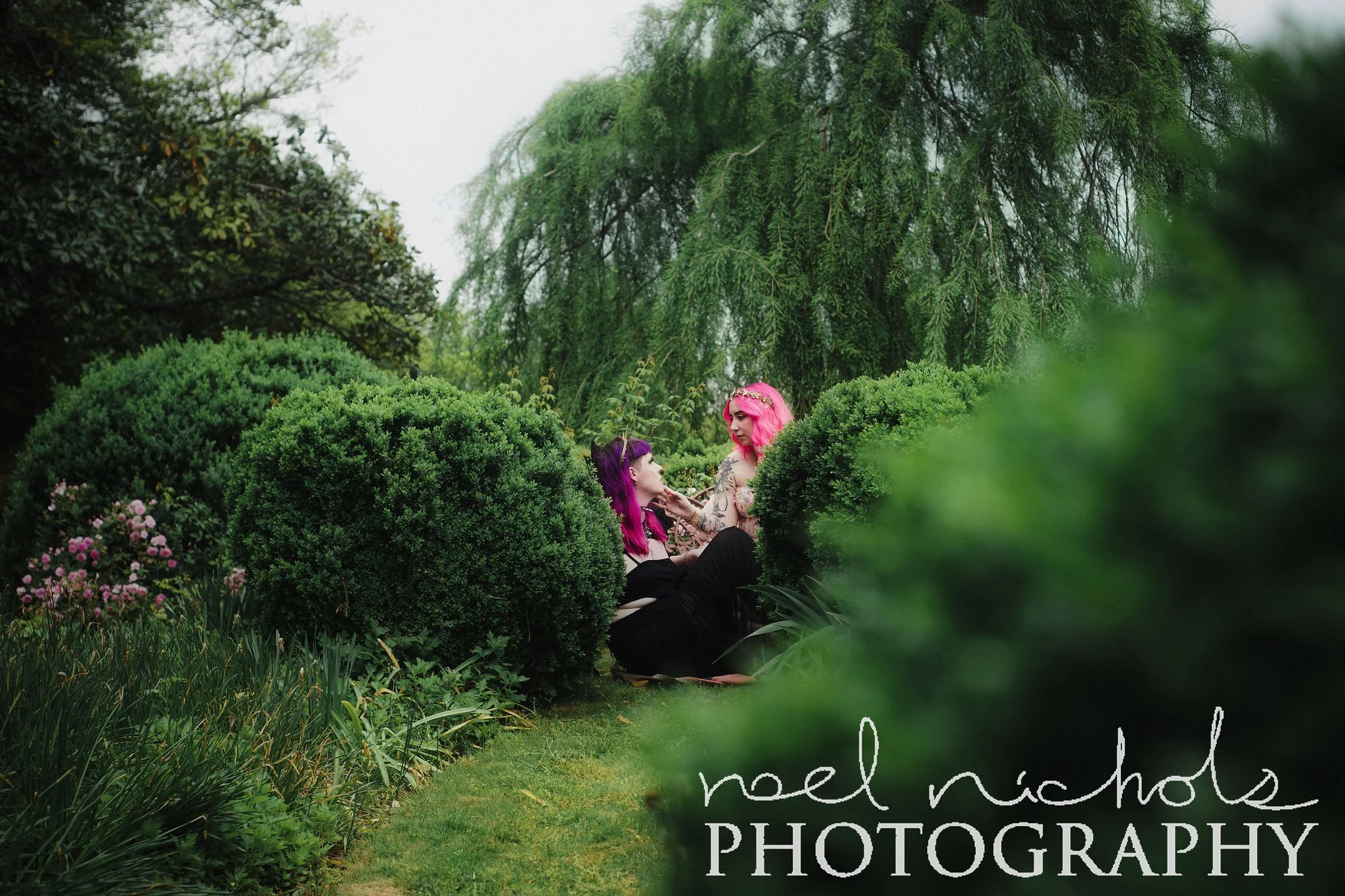 Two women with colorful hair, one with pink and one with purple, in a lush garden with green shrubs surrounding them. The scene is vibrant and romantic.