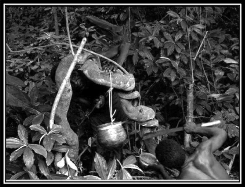 King Leopold II's Reign of Terror — to the Congo Reform Association