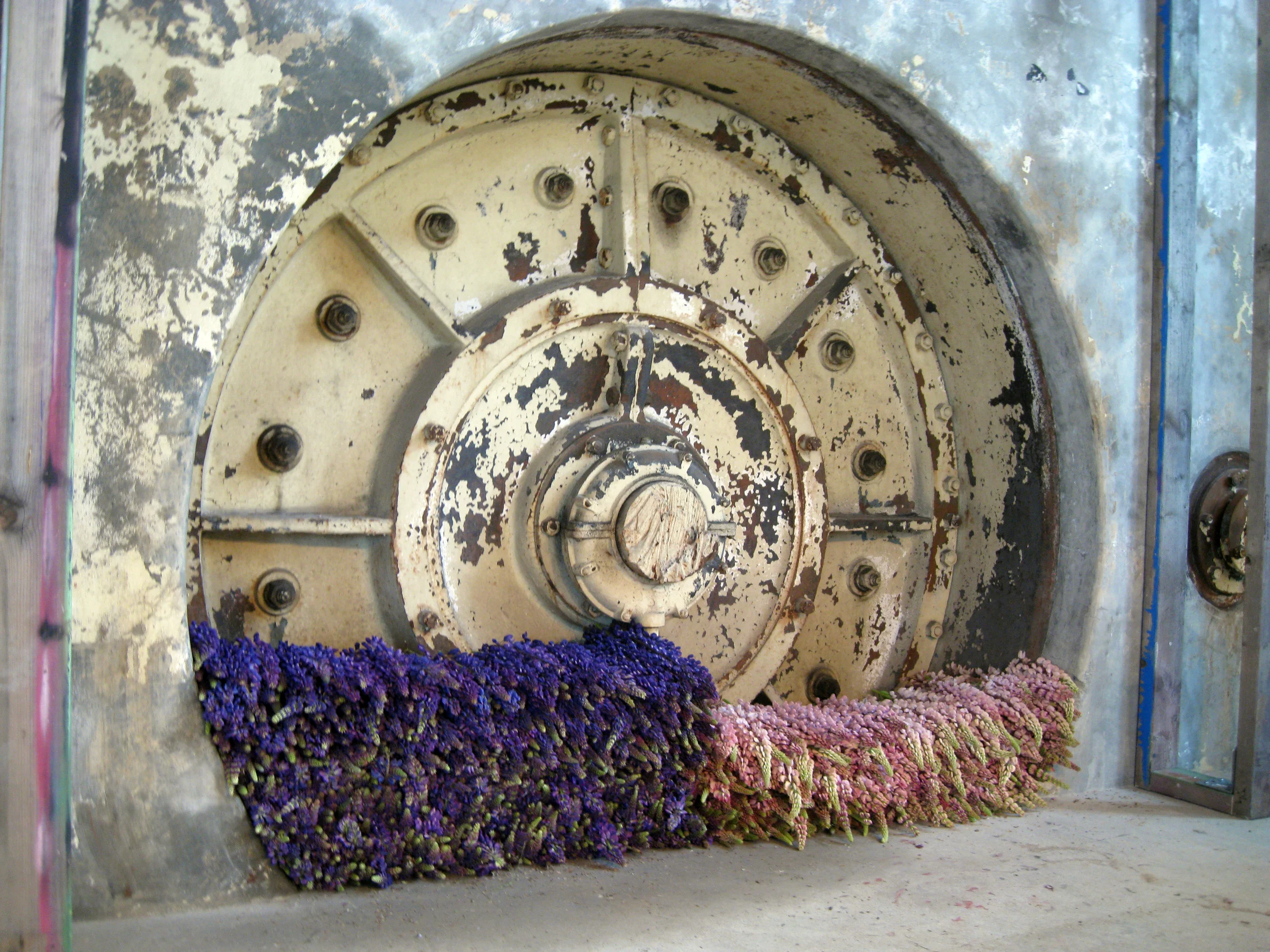 lupineturbine.jpg