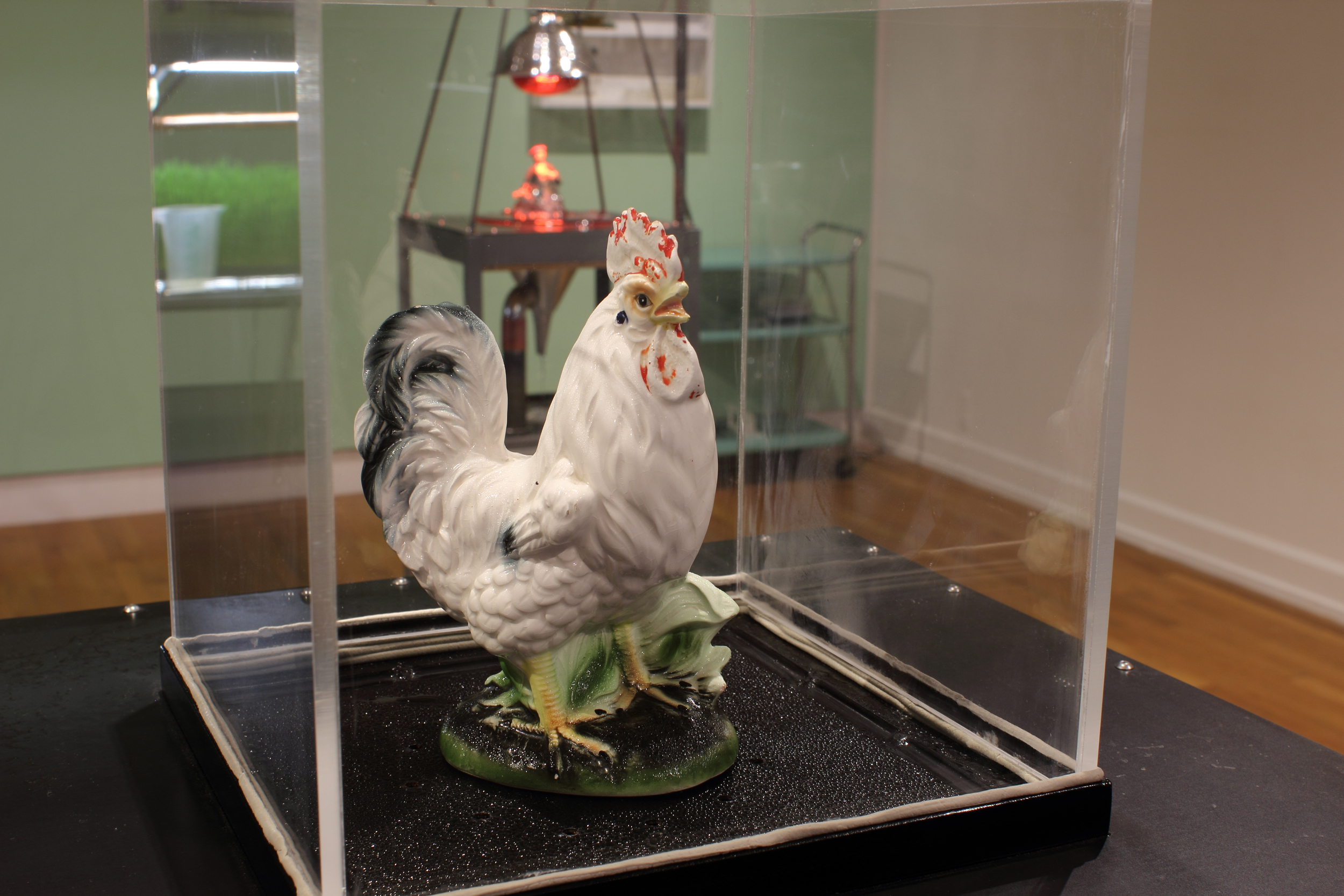 chicken clear.jpg