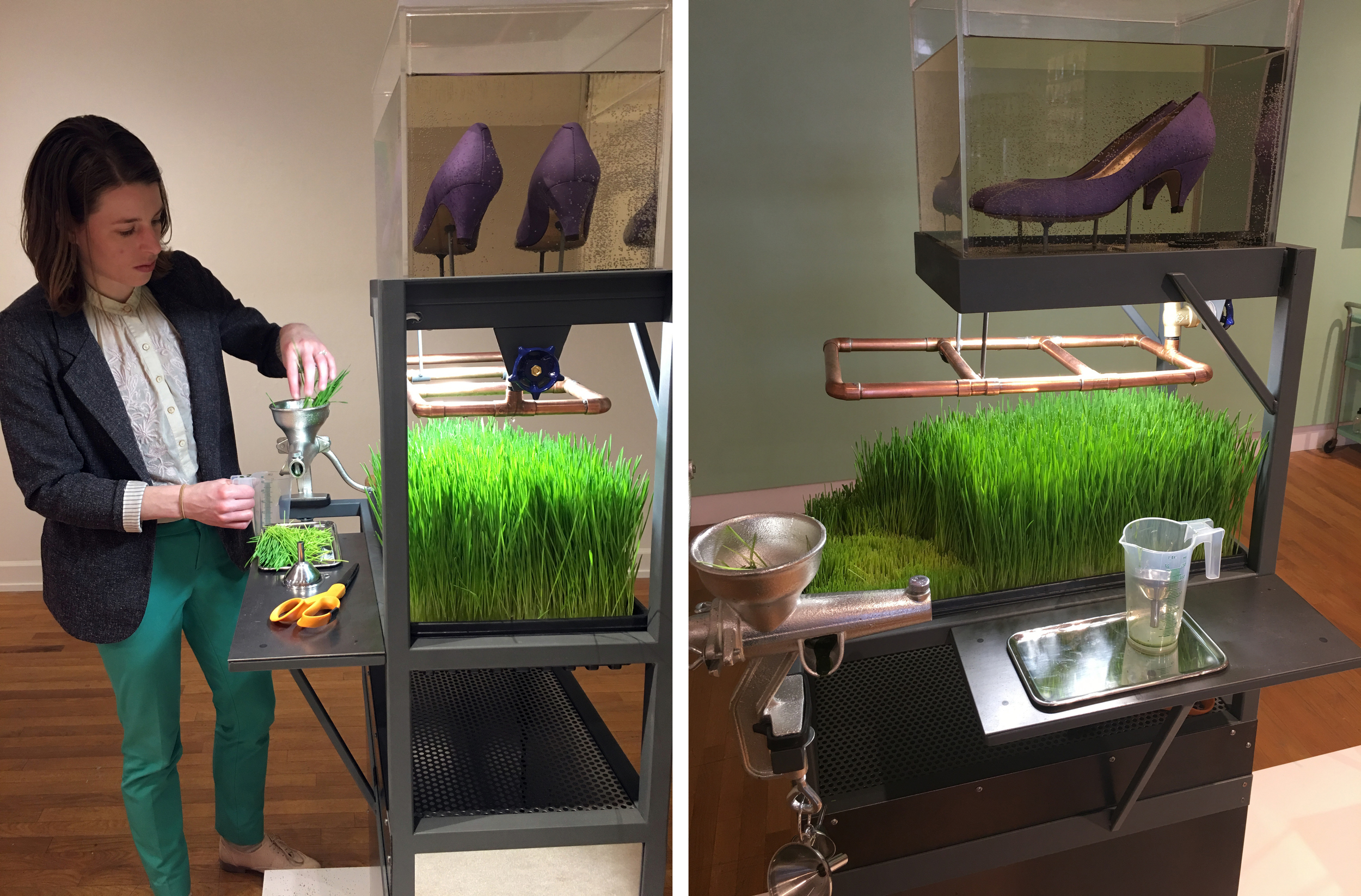 juicing grass duo.jpg