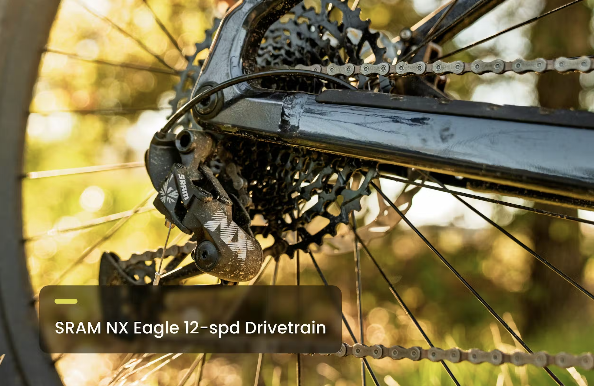 Screenshot 2026-04-02 at 11.00.25 AM.png