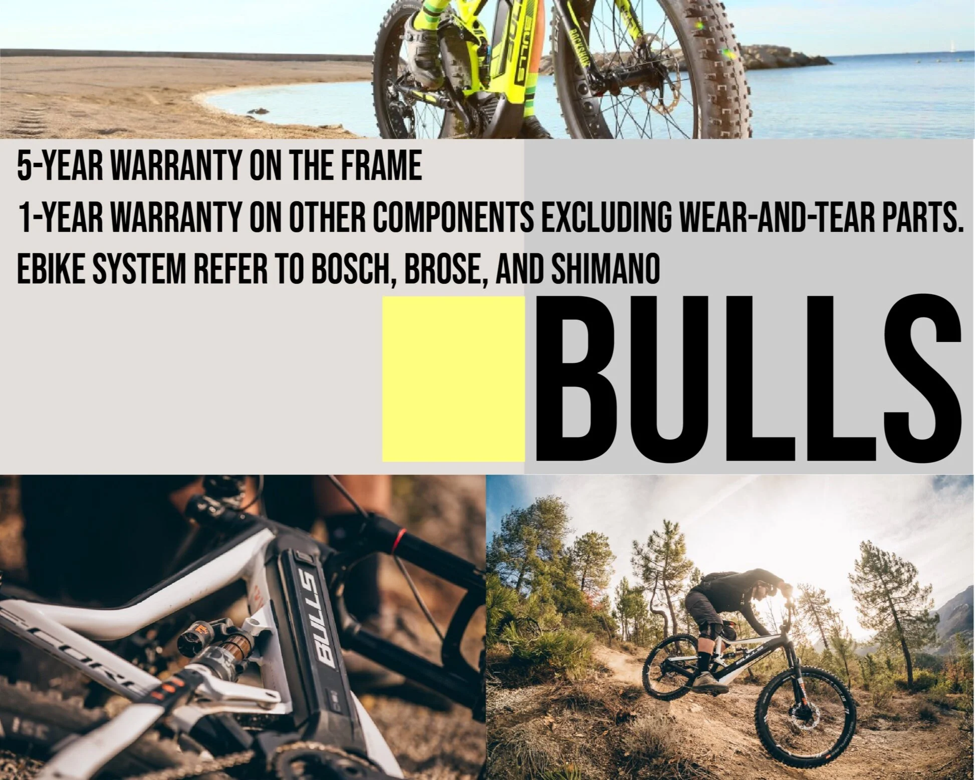 bulls.jpg