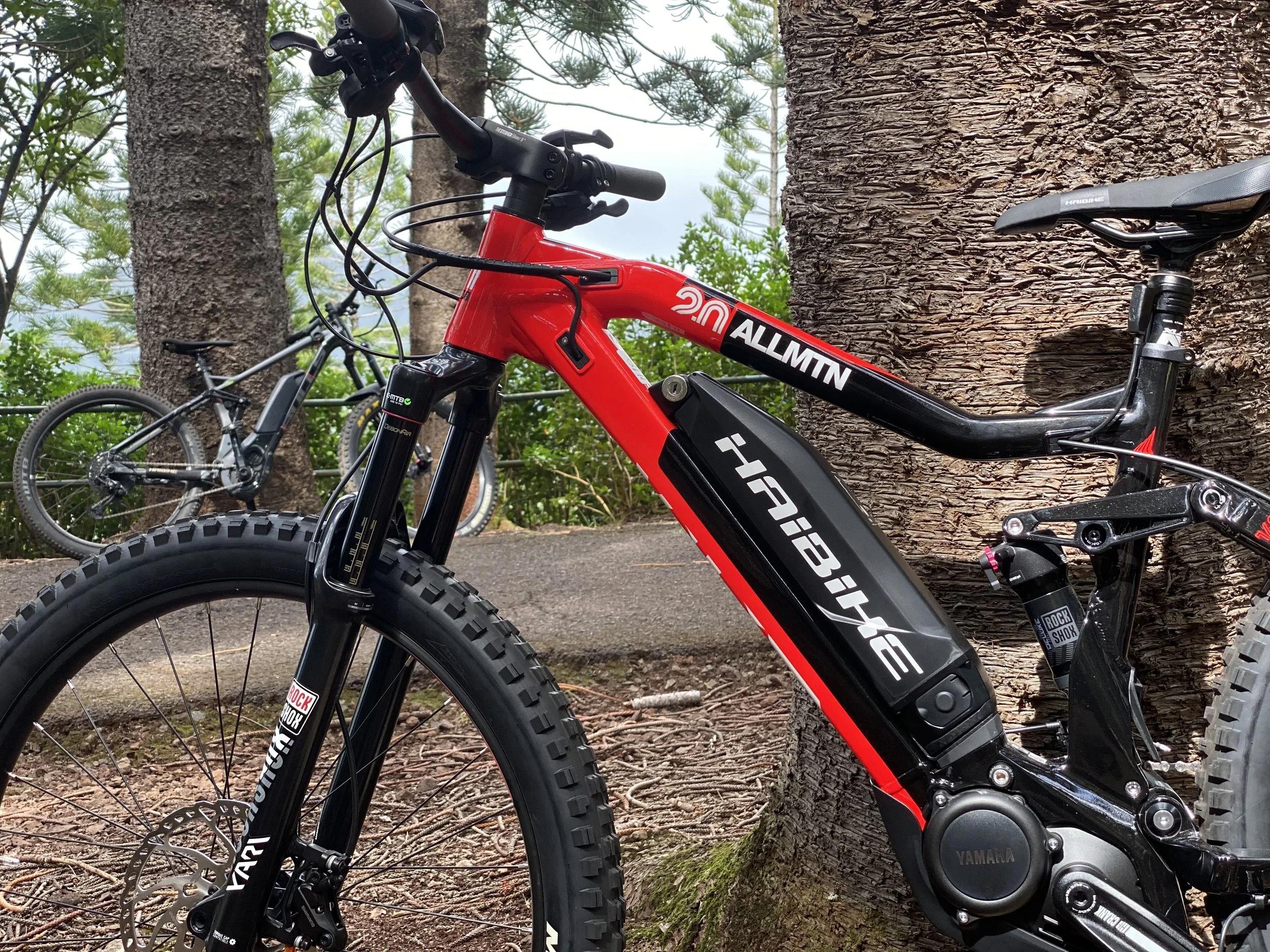 Busting Ebike Myths