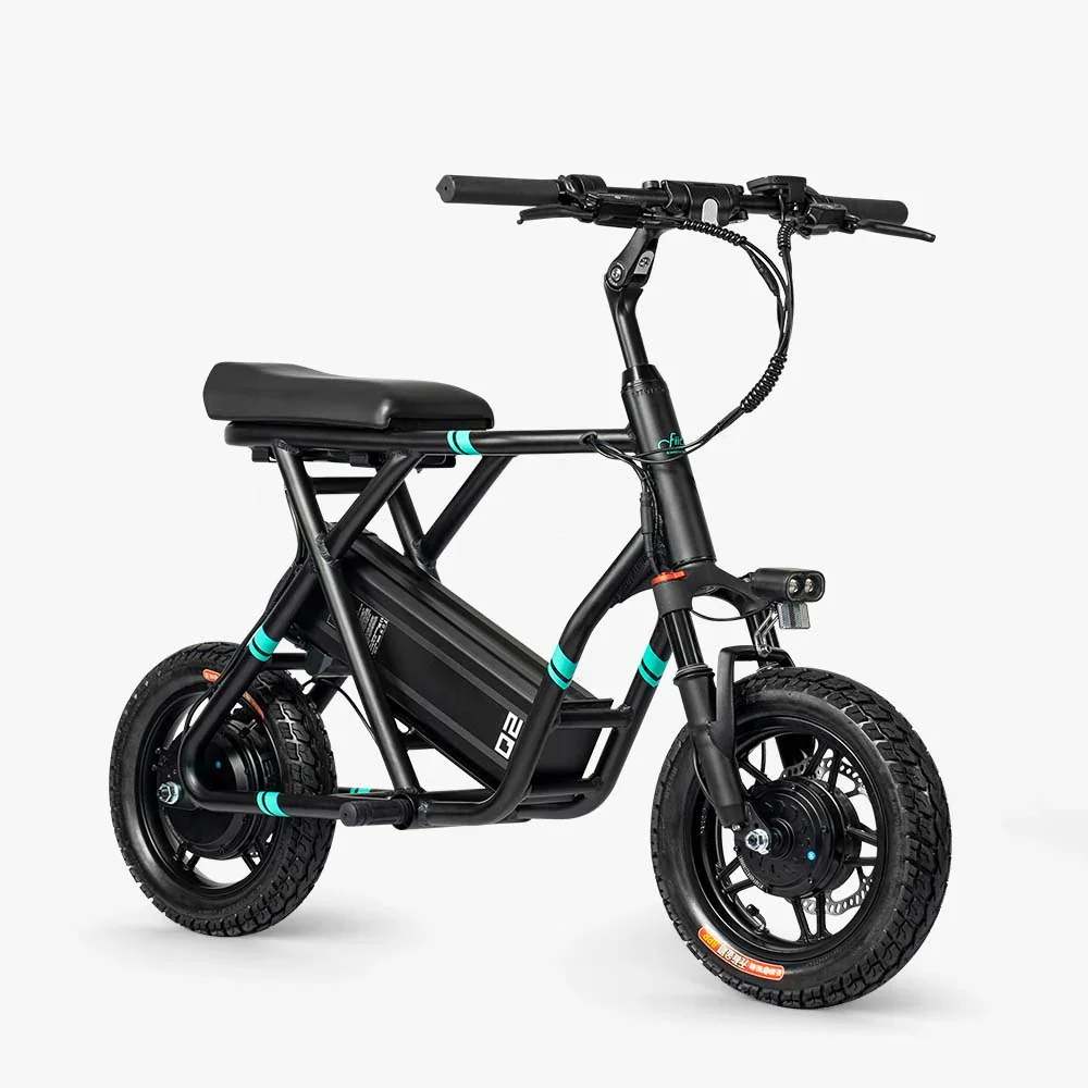 fiido-q2-electric-scooter-1_1000x.jpg.webp
