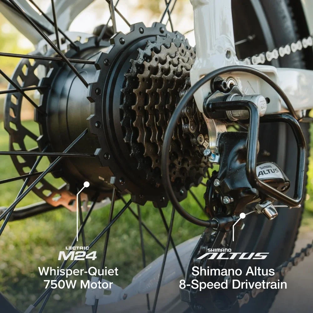 8-XP4-Motor-750.webp.jpeg