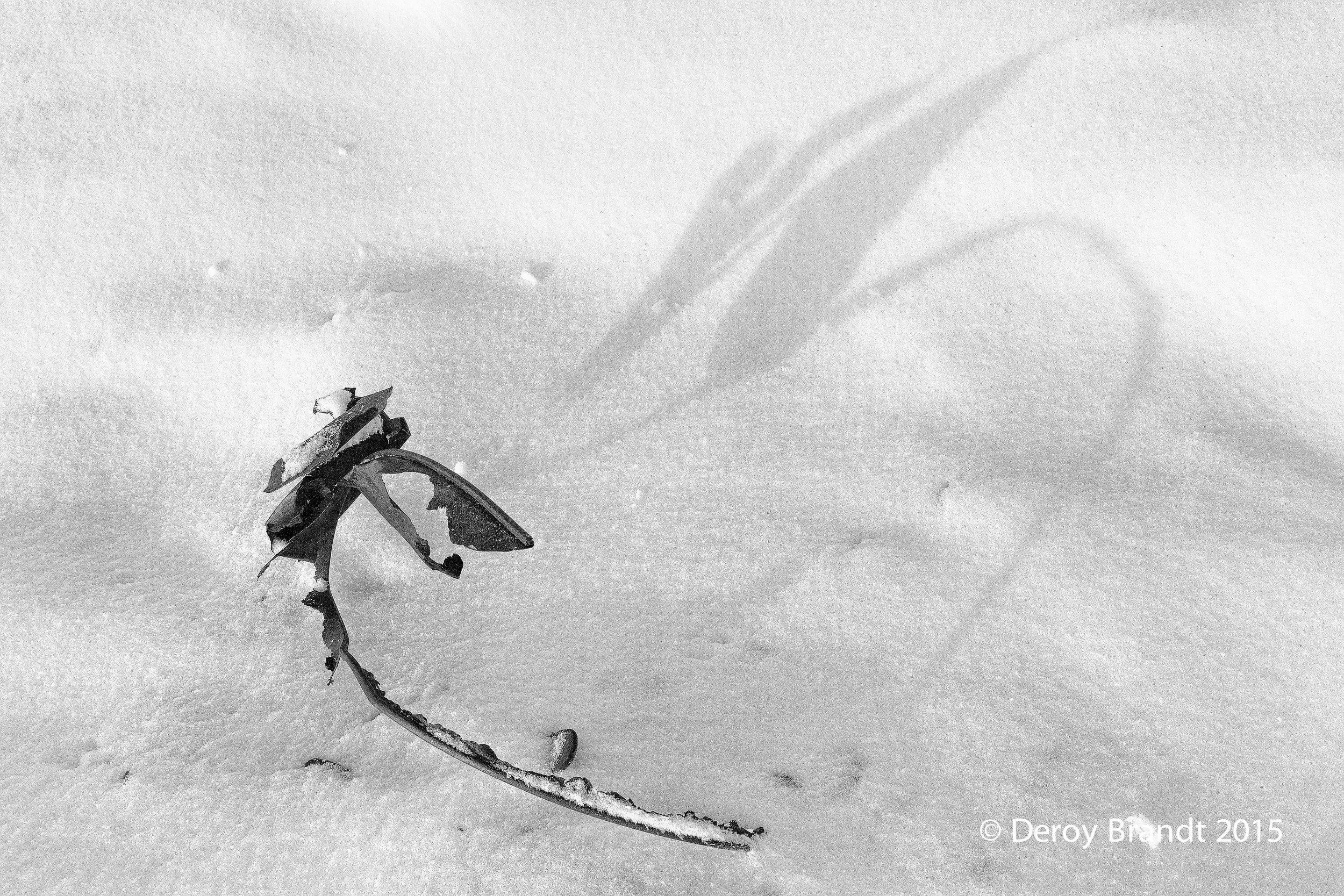 Snow and Metal