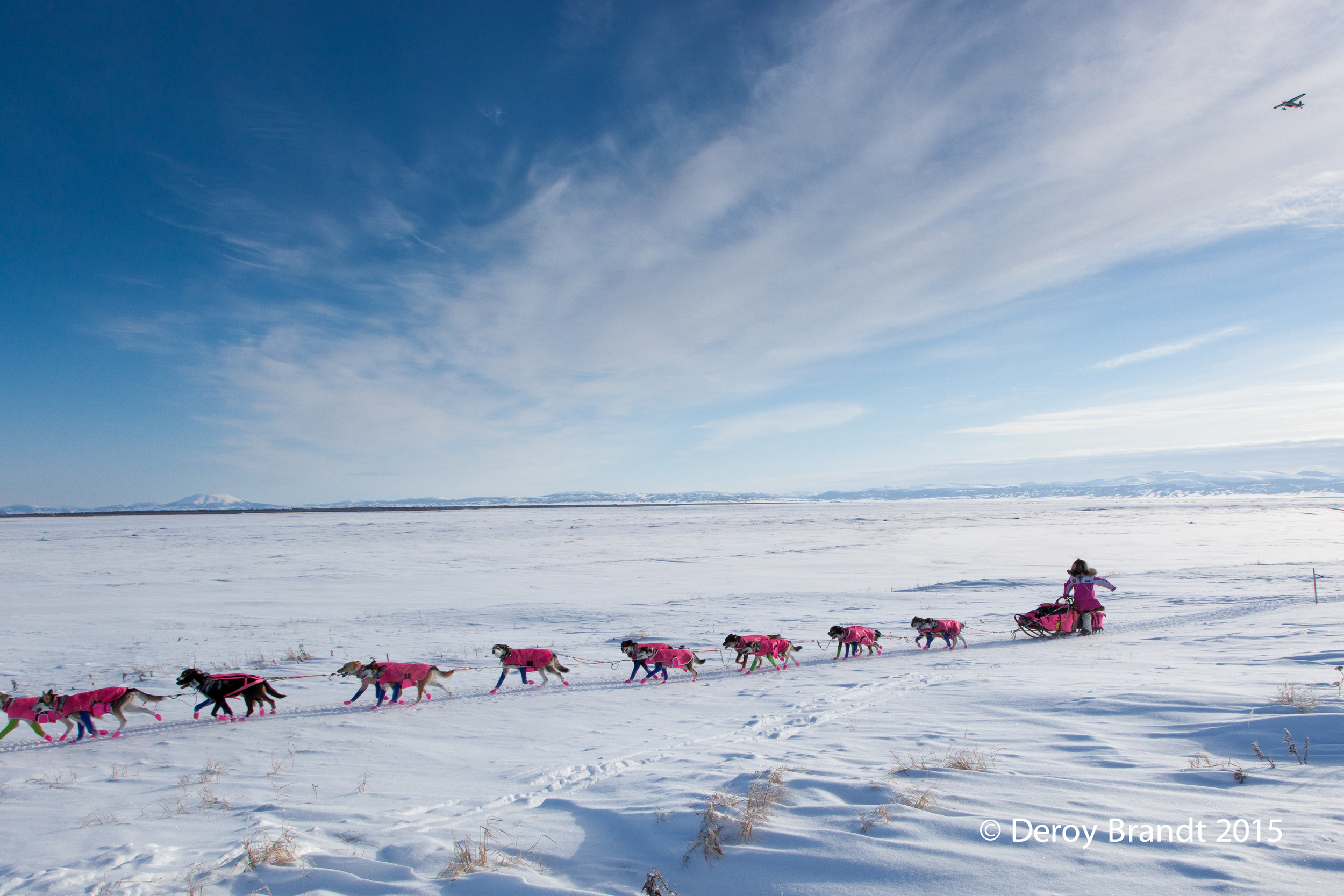 Pink in a Sea of Blue and White