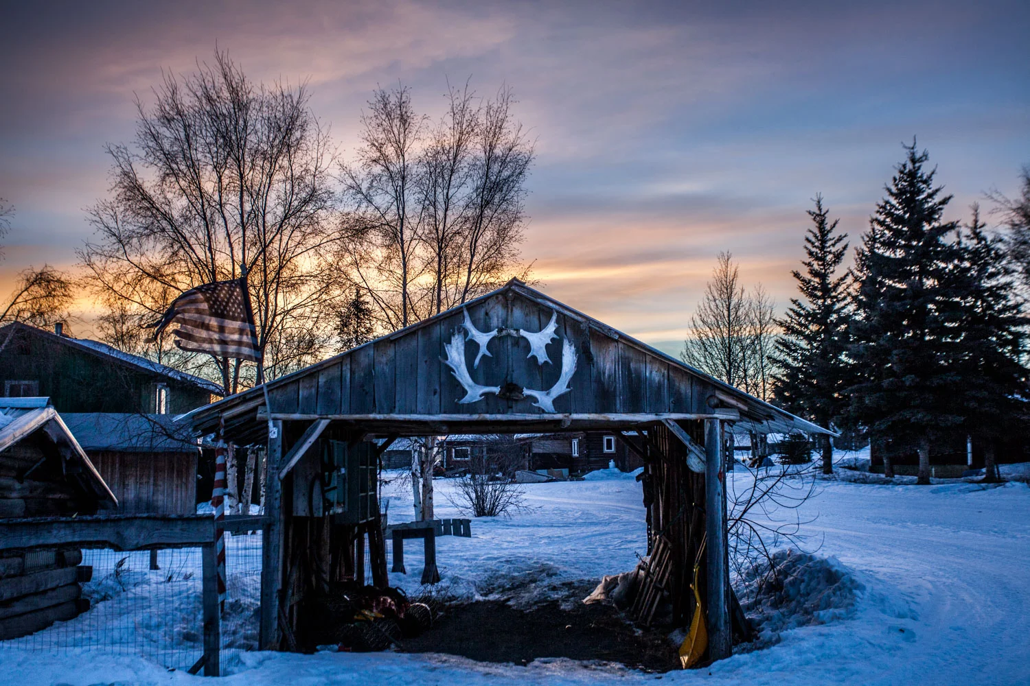 iditarod2016.jpg