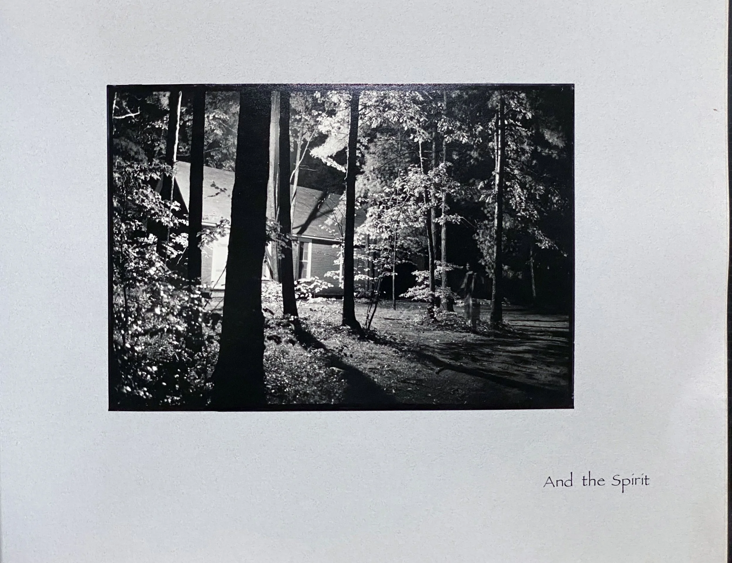 P19.jpg