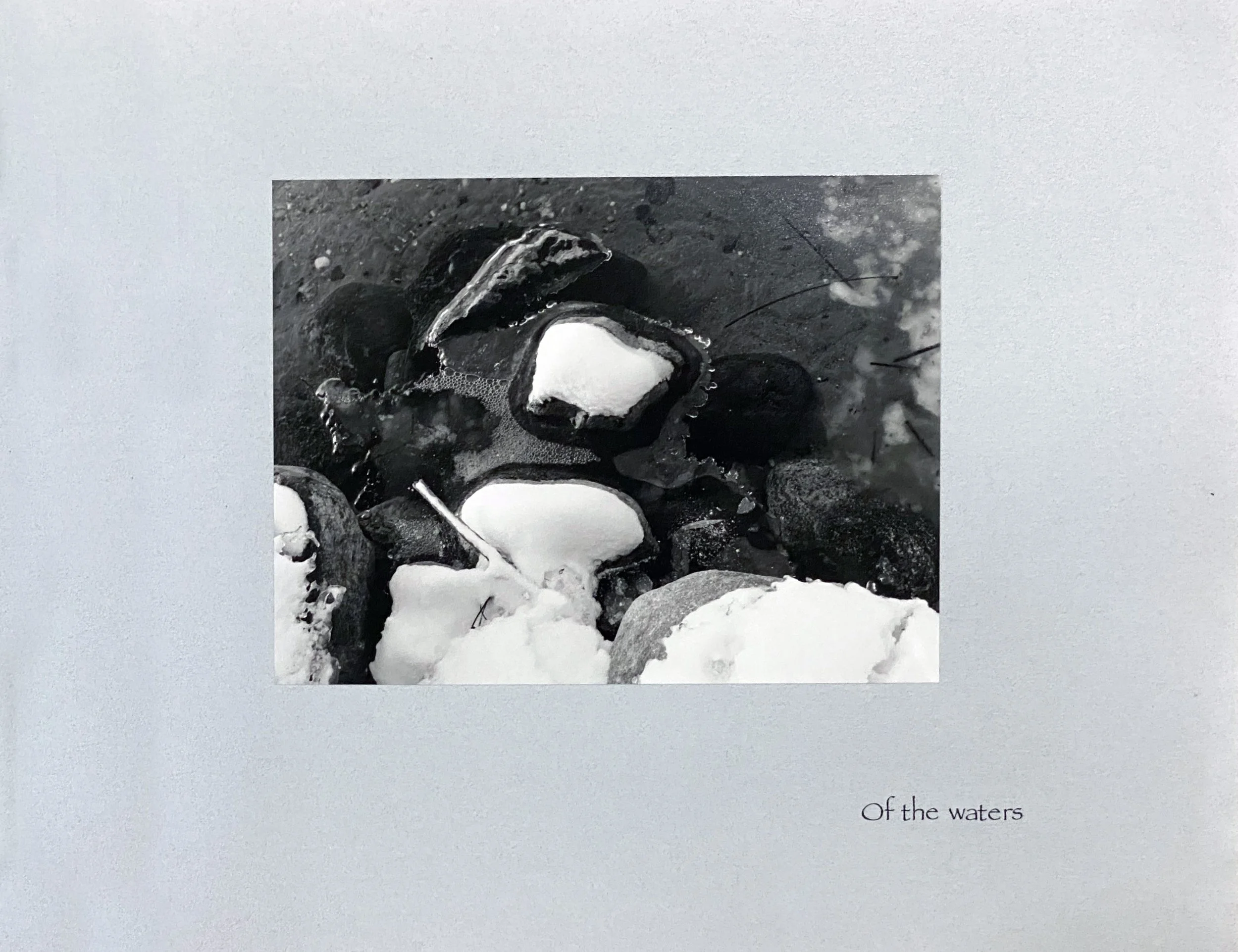 P44.jpg