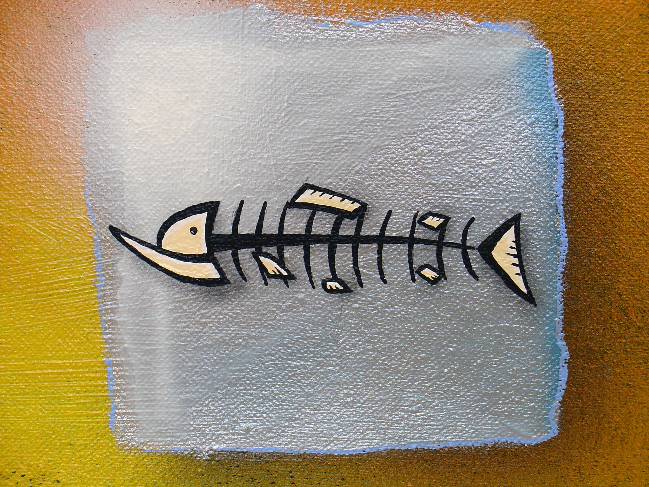 deadfish4.jpg