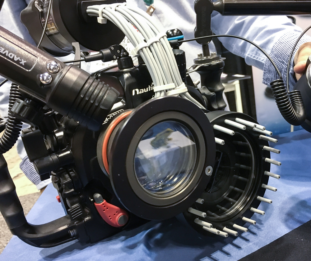  The Saga Dive ring flash system can be disengaged and slid back, and also is compatible with a wet diopter, which can be flipped out of the way if desired 