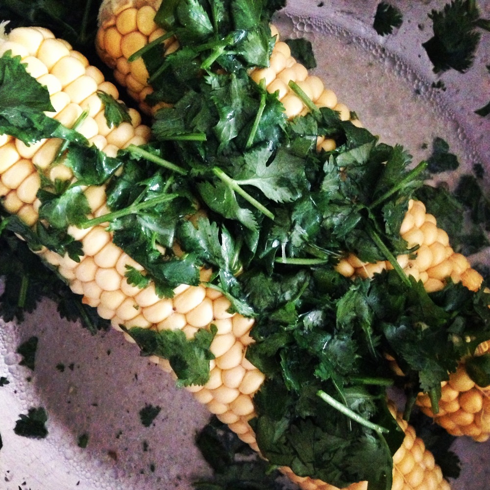 corn3.jpeg