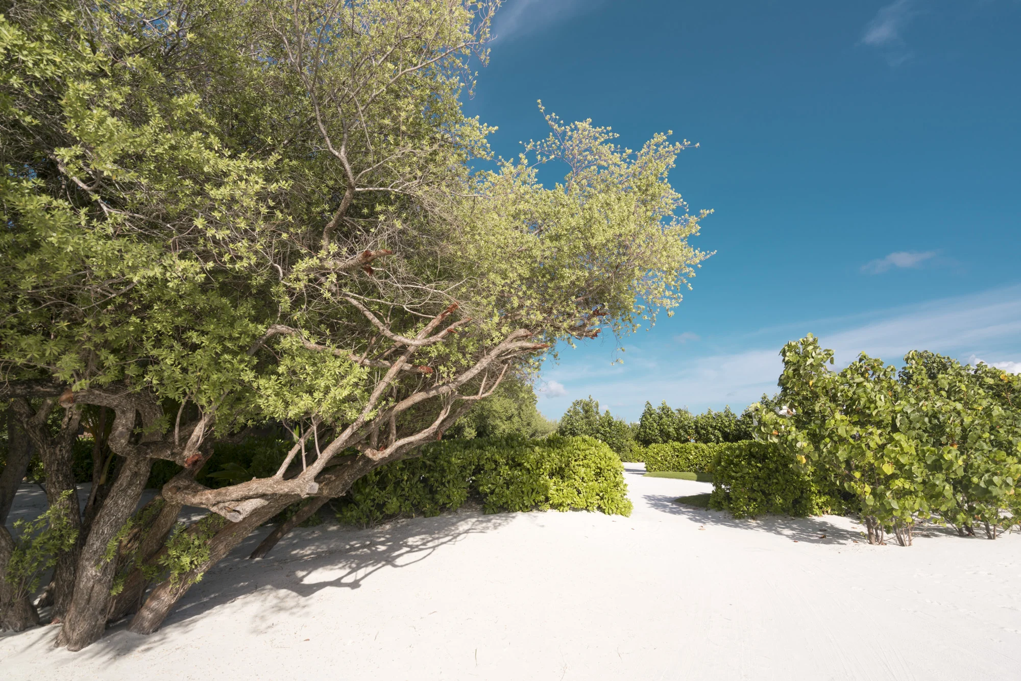 Clubmed_maldives_008.jpg