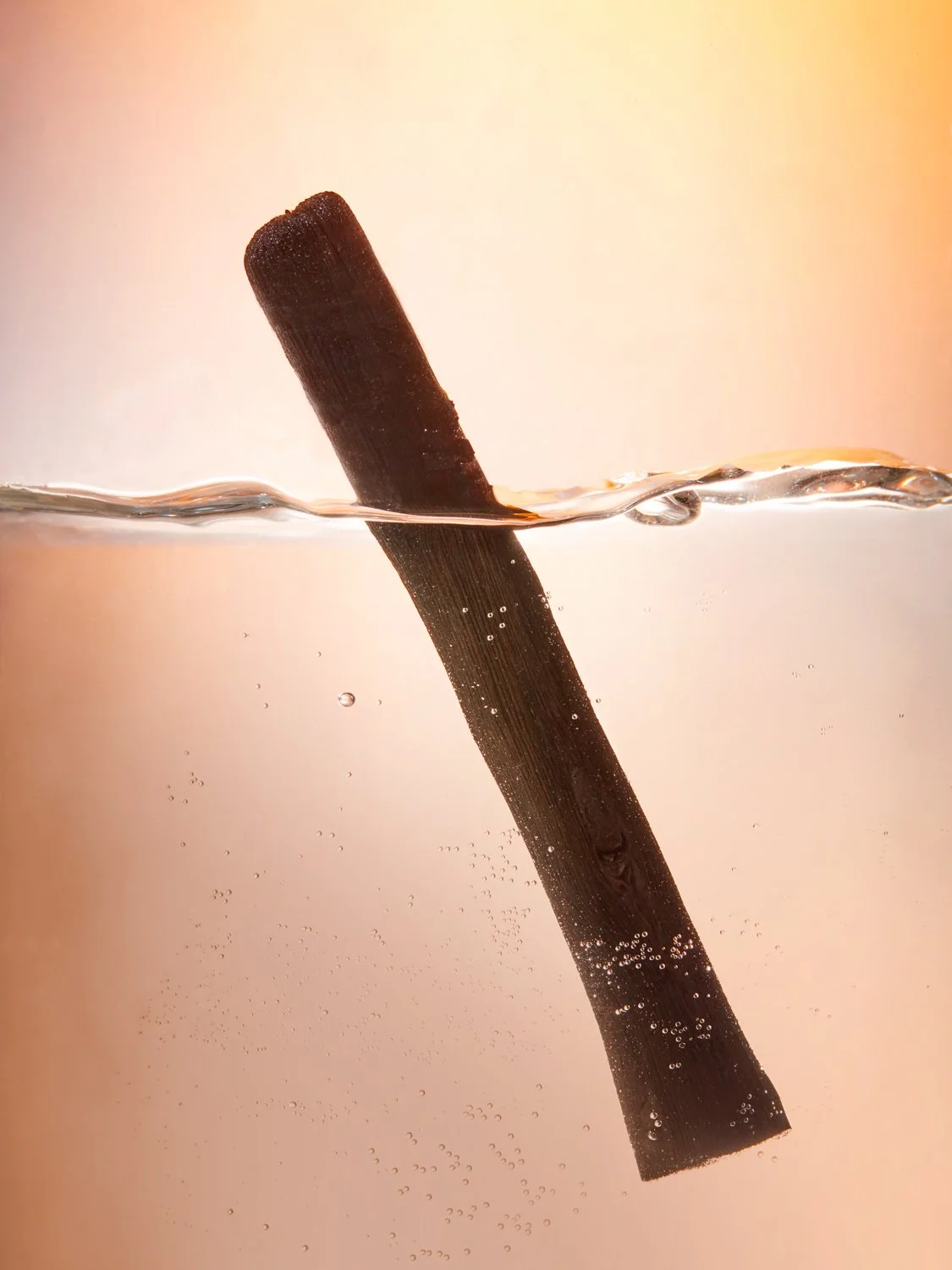 DH_DIR16_Travel Essentials_5.jpg