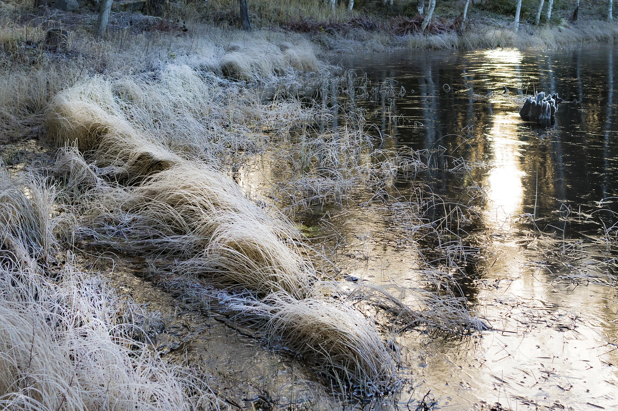 Høstsonate – siste akt