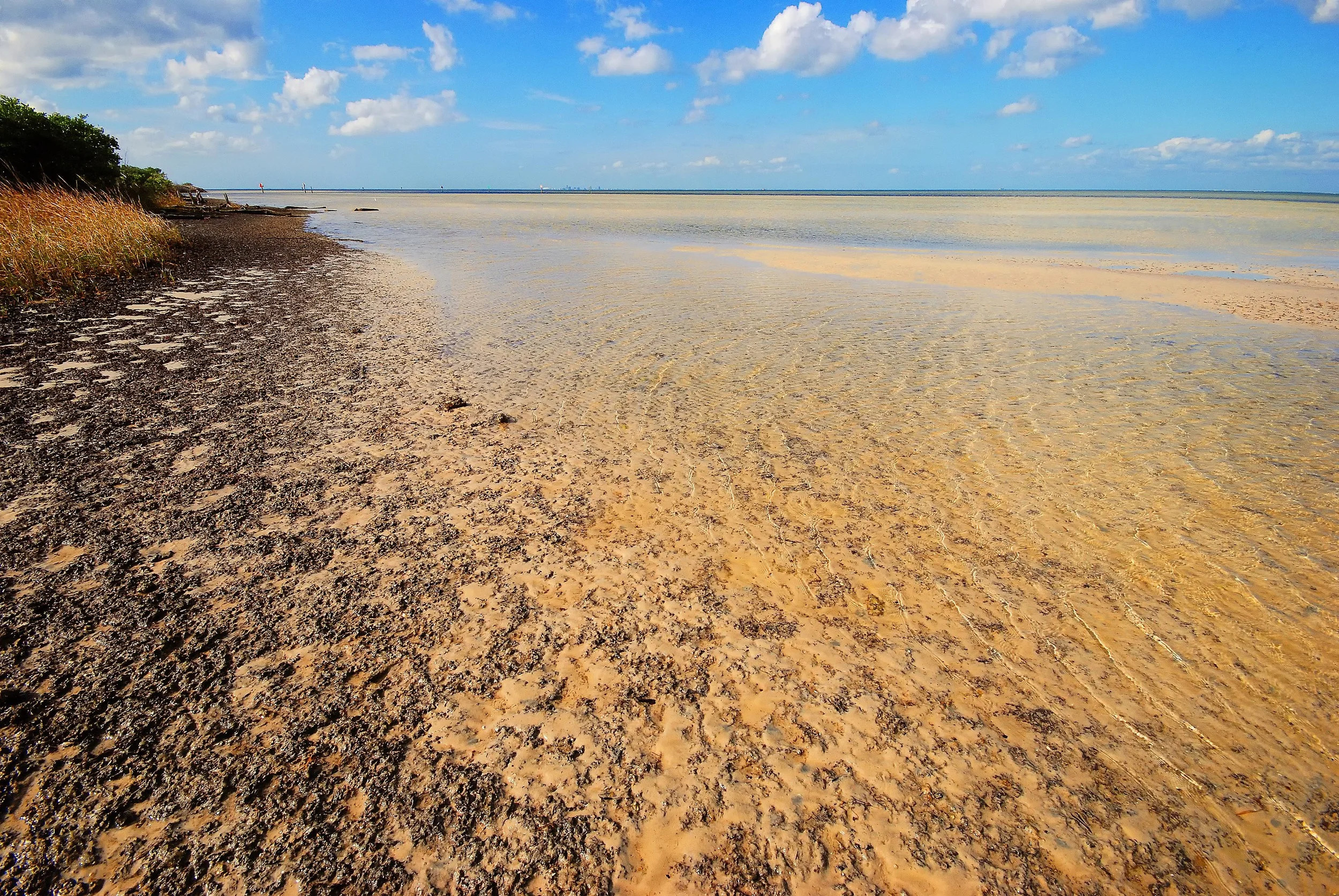 Low Tide-Simmons Park