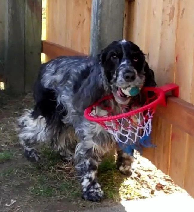 mollyball.jpg